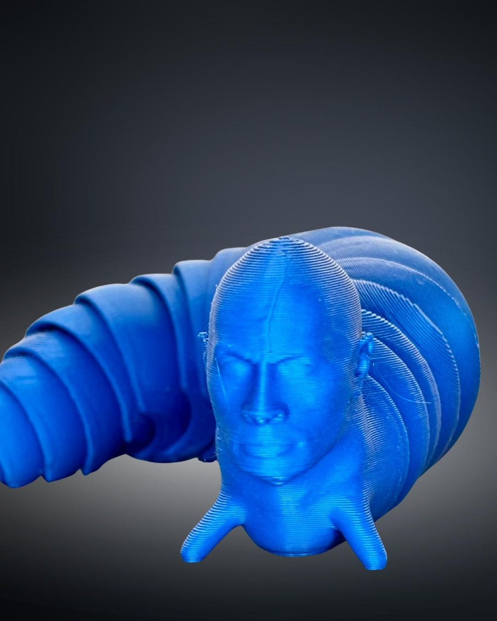 Flexi Slug