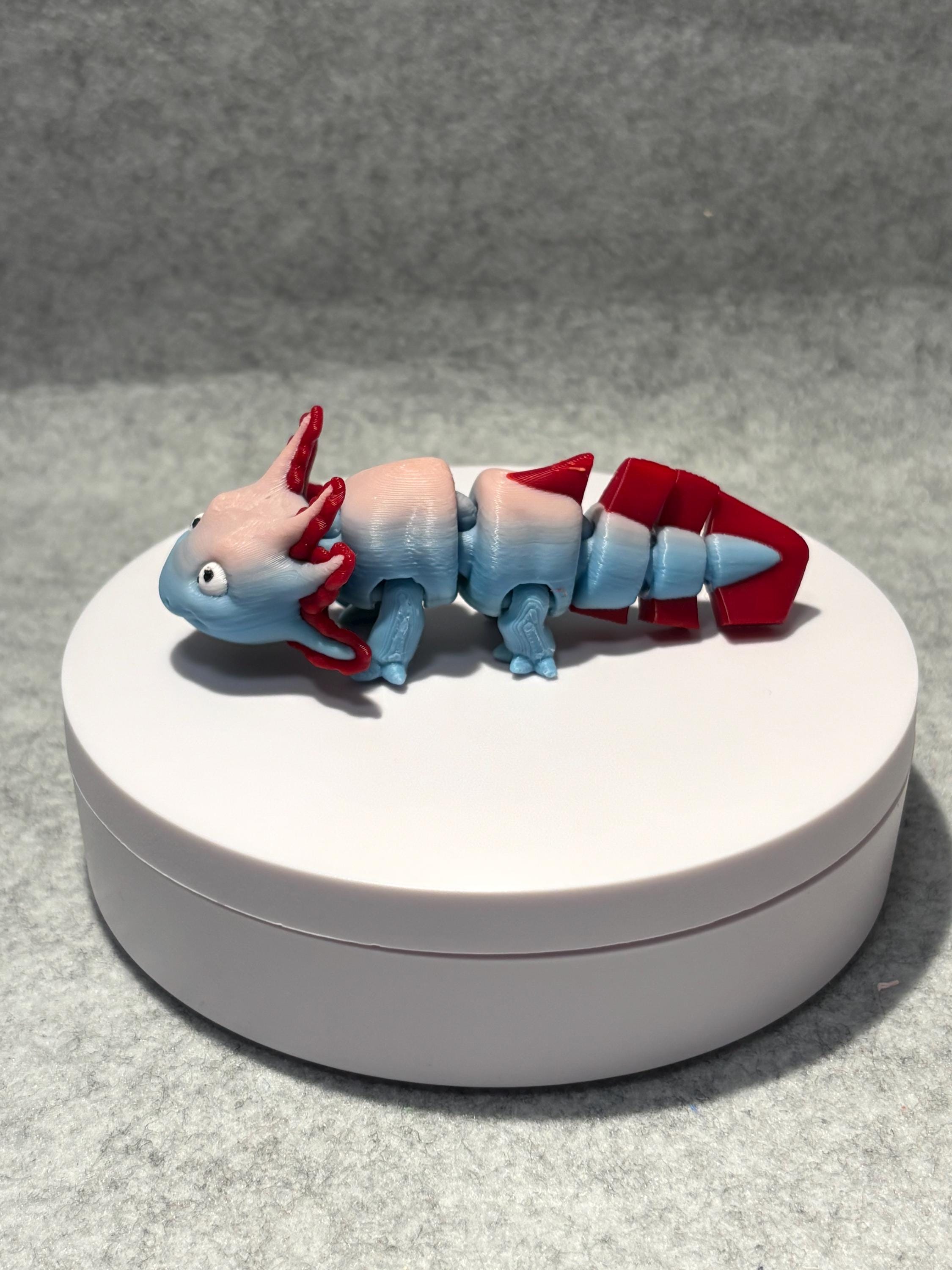 Flexi Axolotl